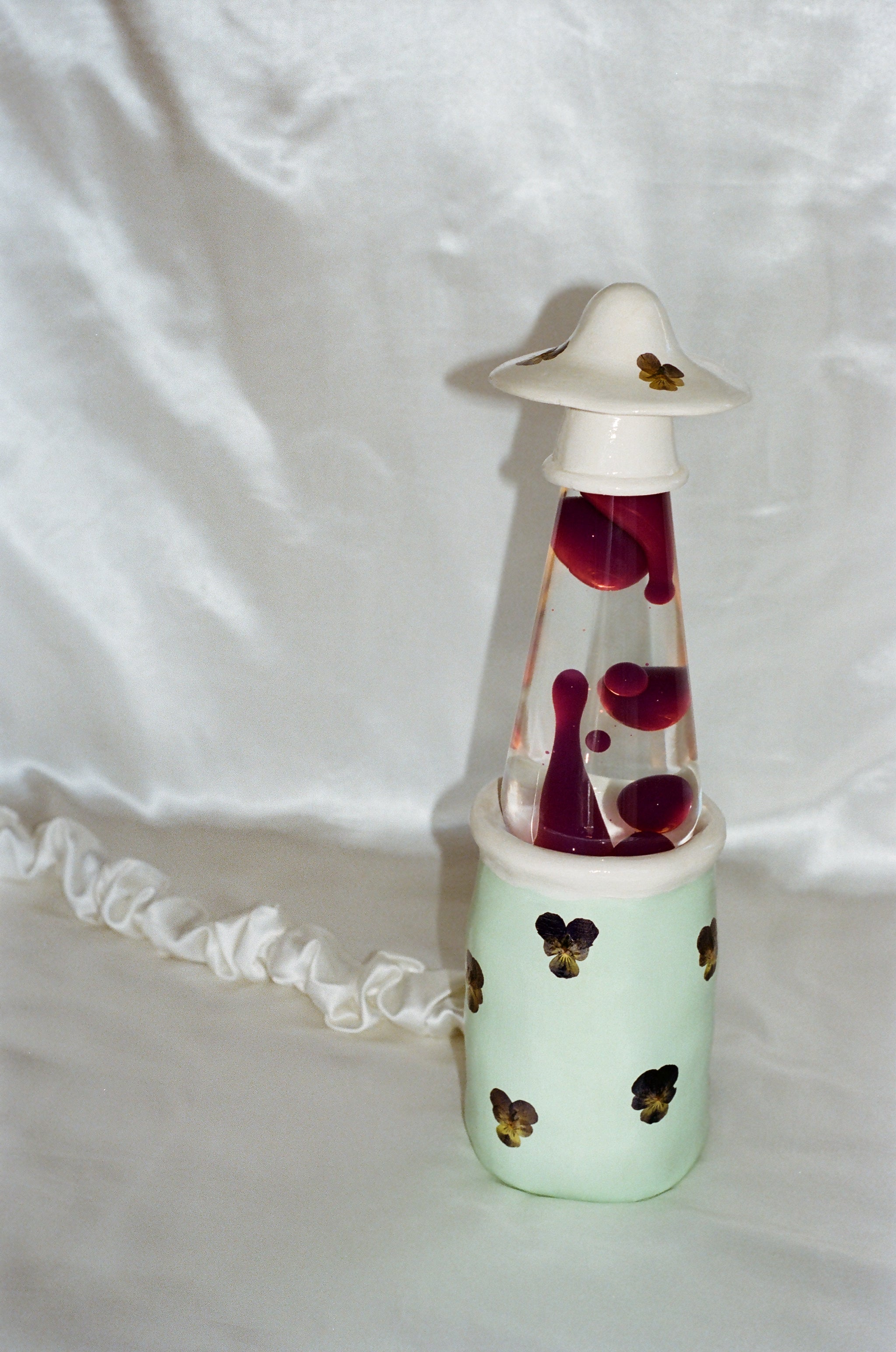 PANSY ASS Groove Tube