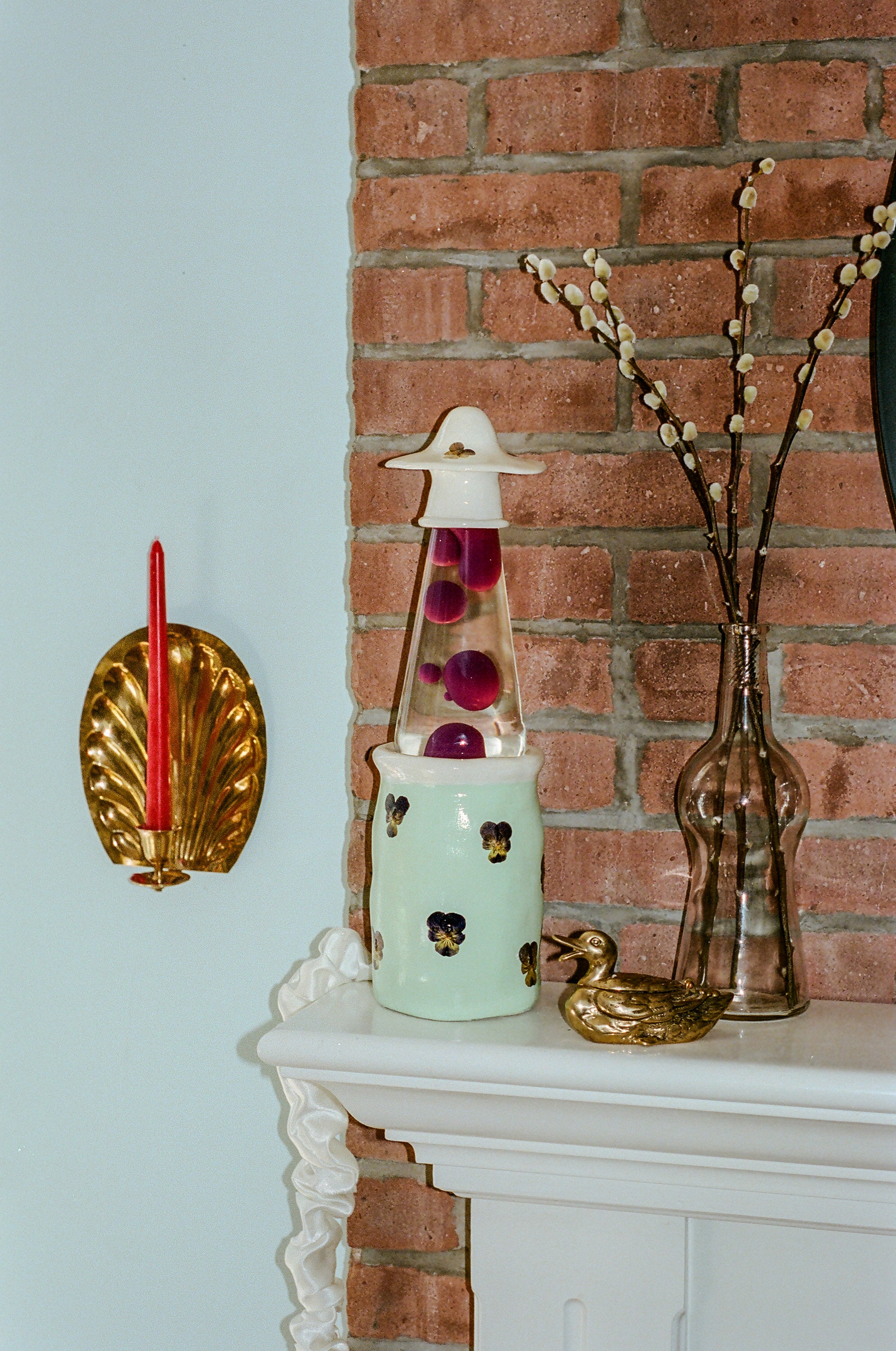 PANSY ASS Groove Tube