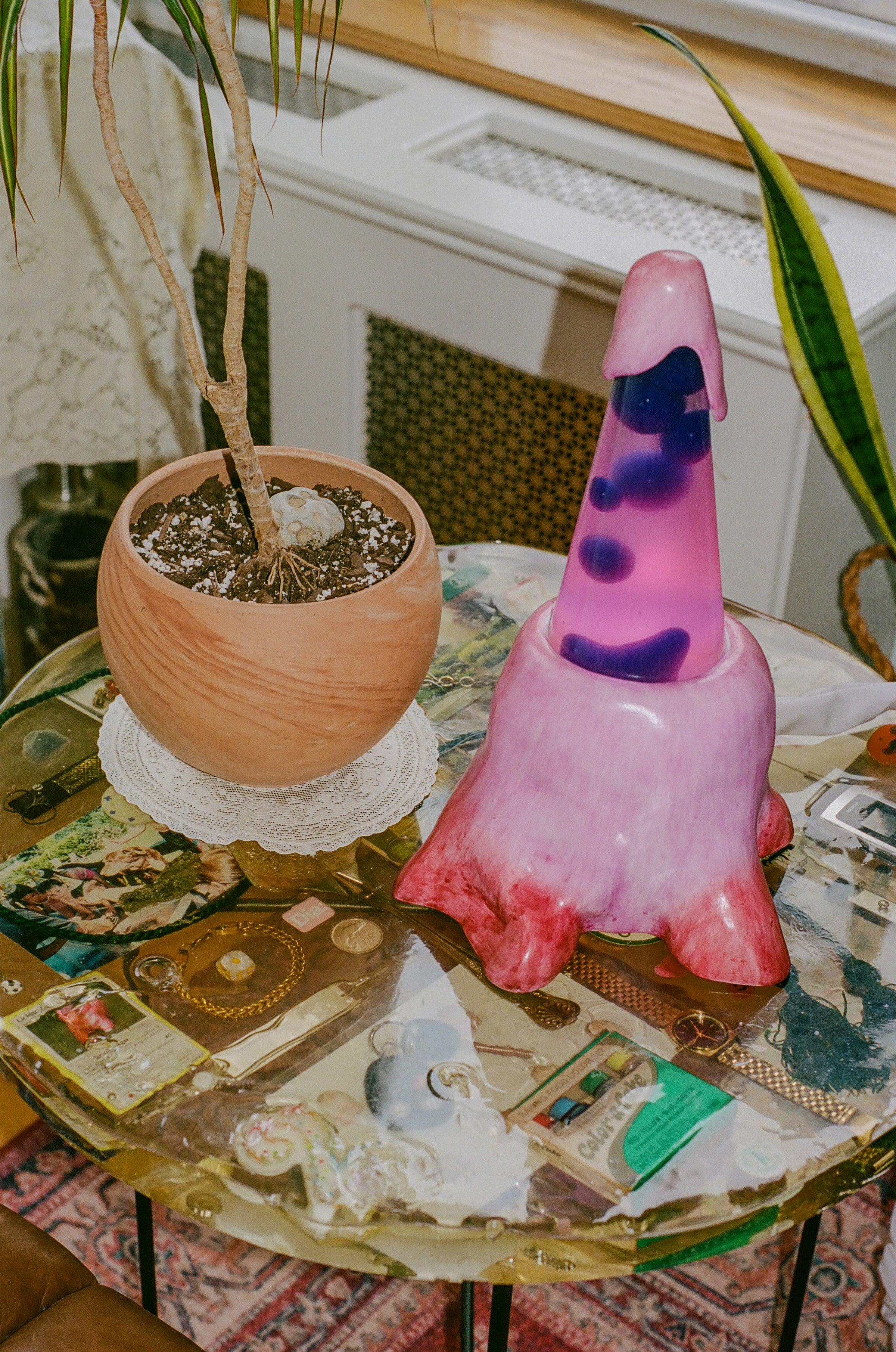 MOODY JUDY Groove Tube