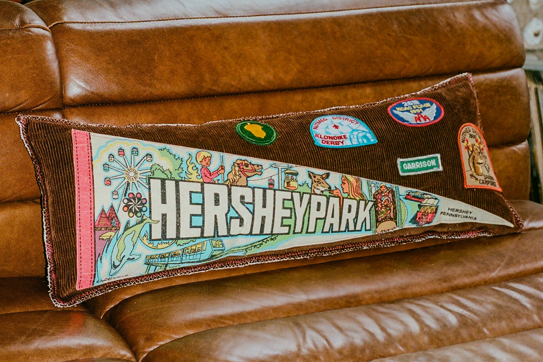 Hershey Park Pennant Pillow
