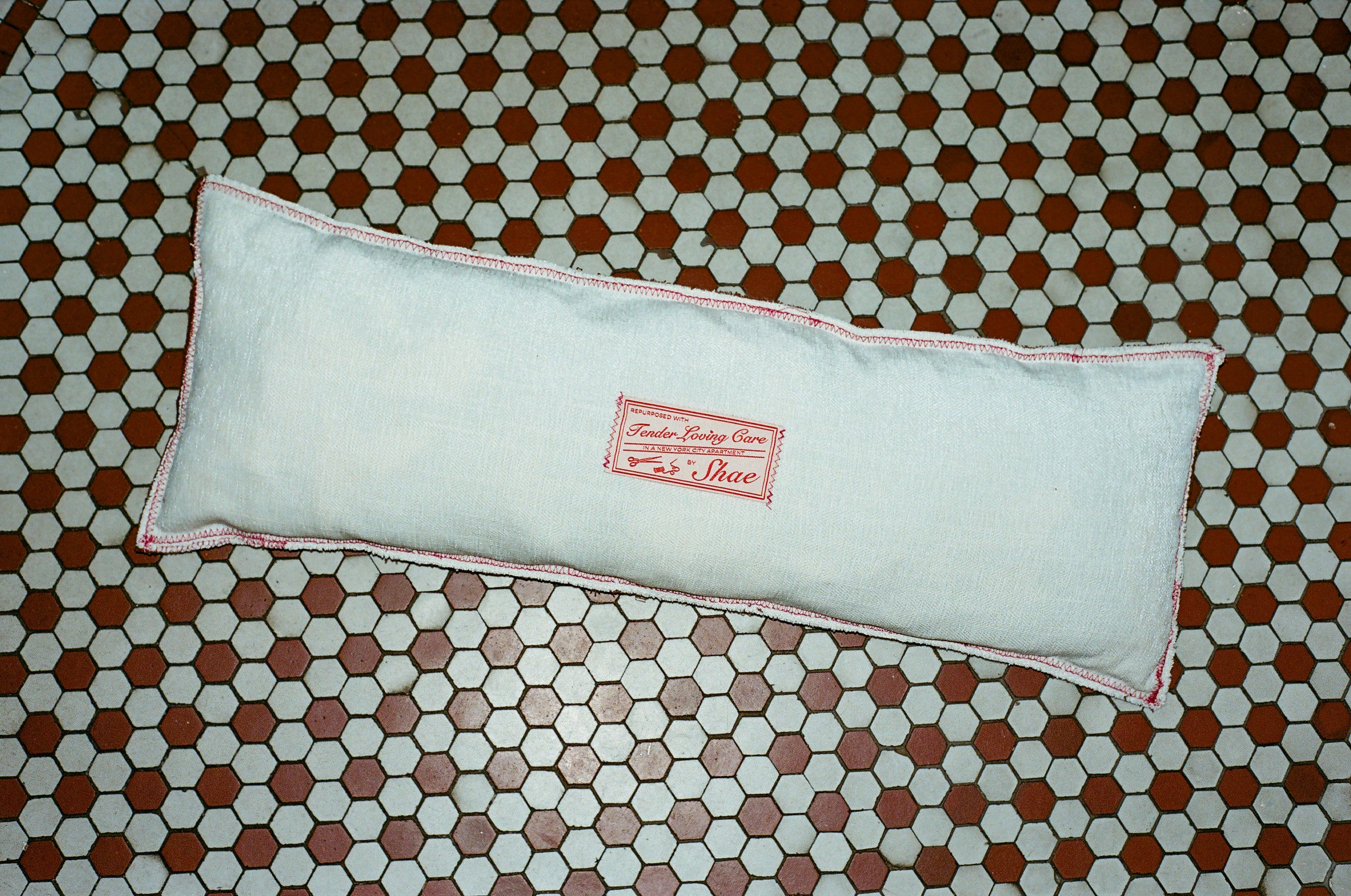 Hershey Park Pennant Pillow