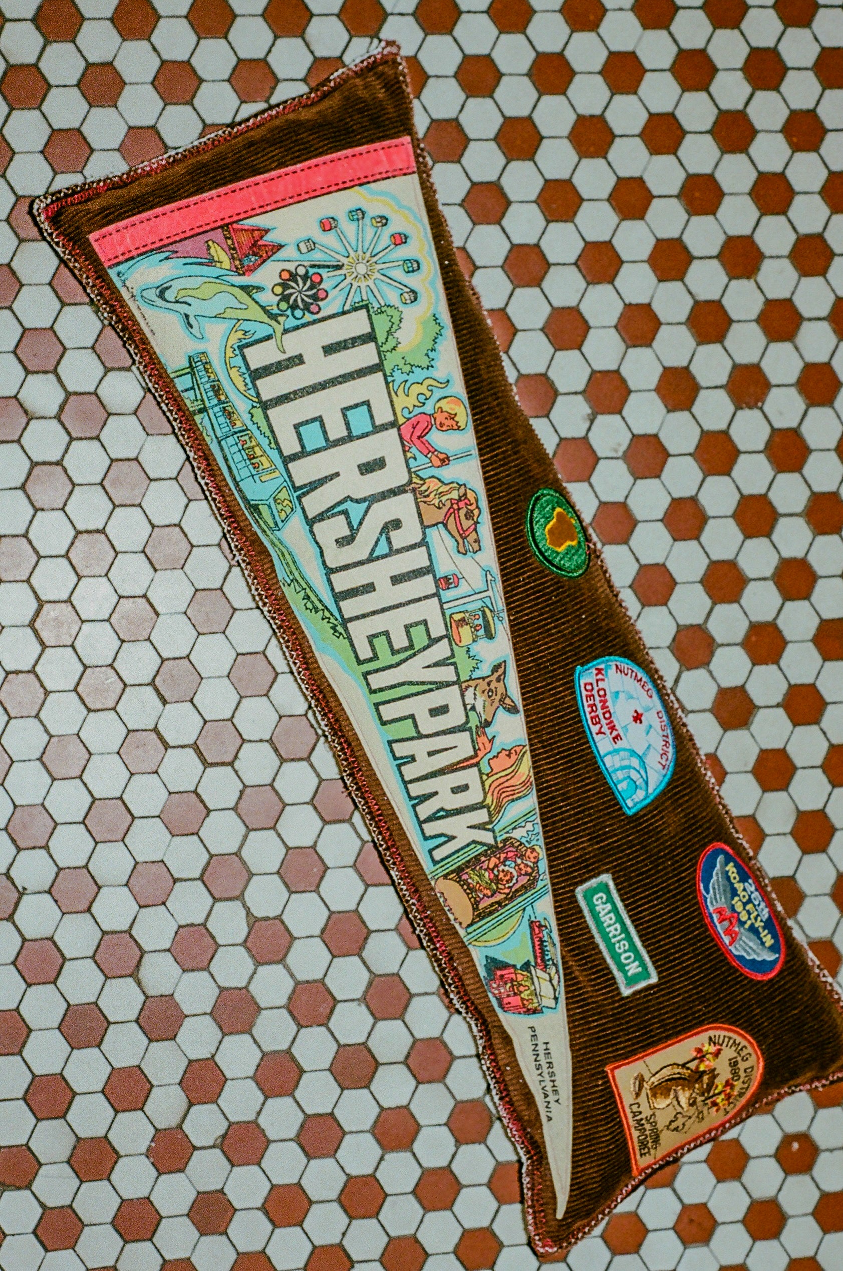 Hershey Park Pennant Pillow