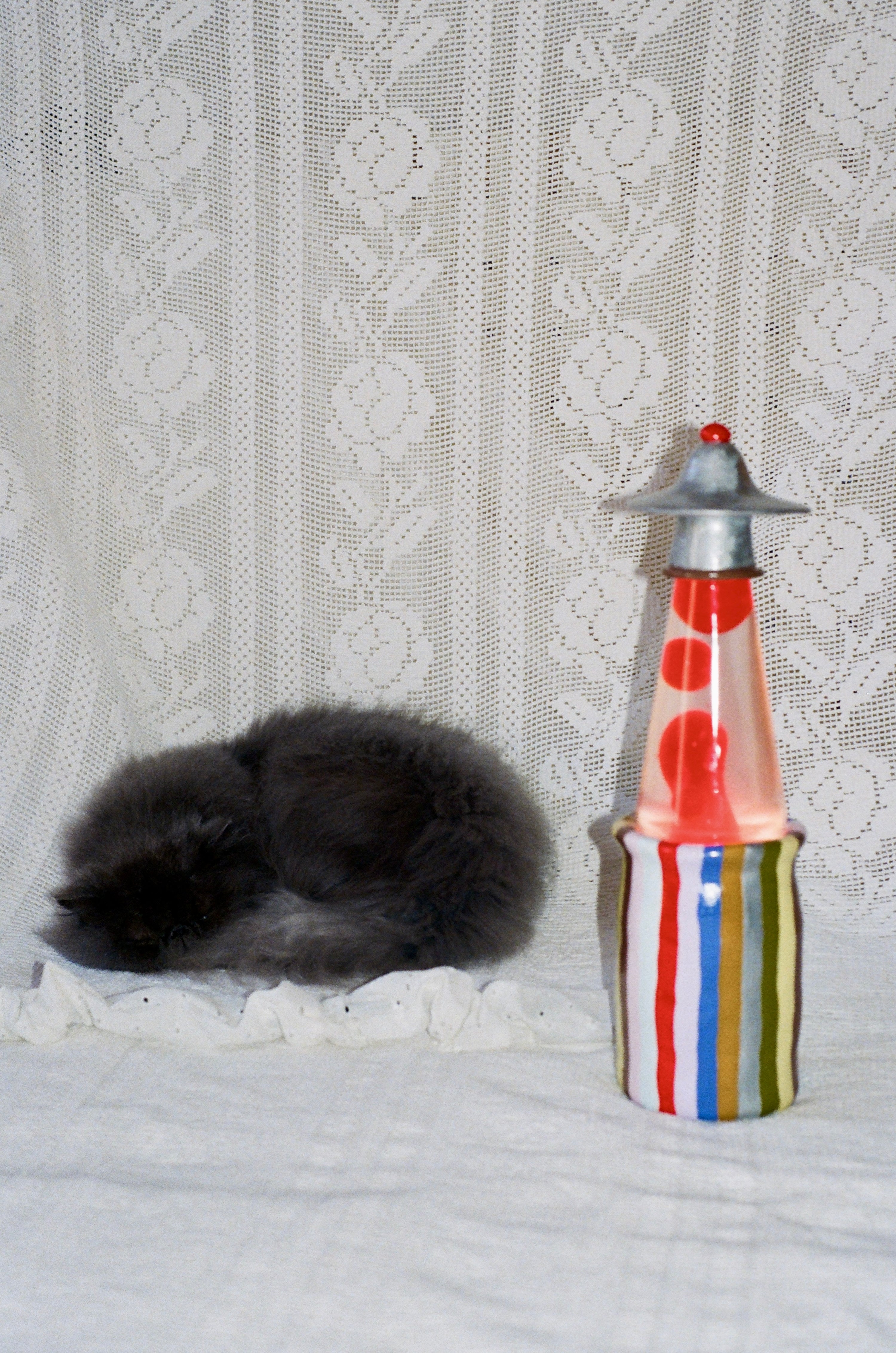 CANDY STORE Groove Tube