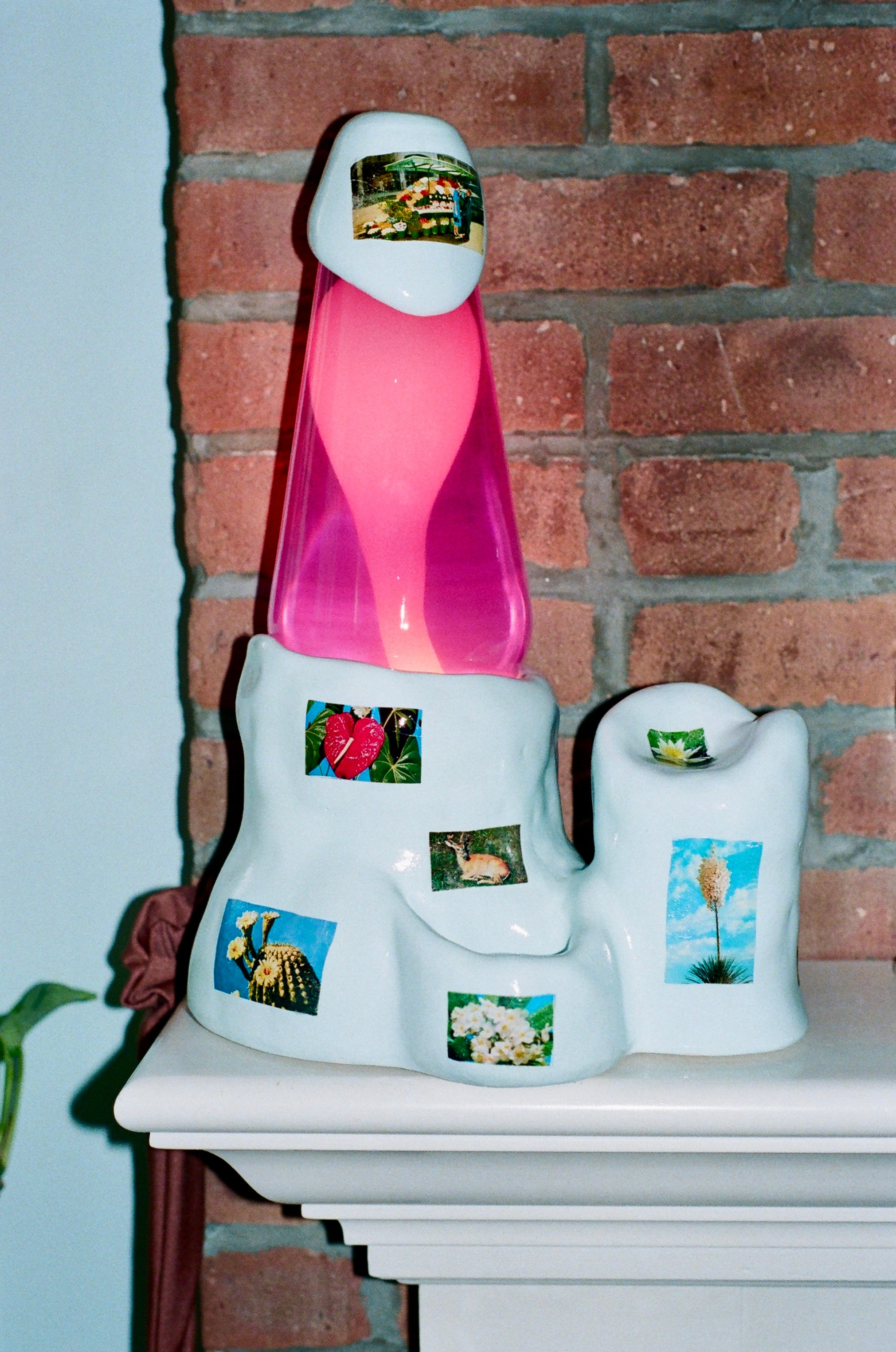 SPRING FLING Groove Tube